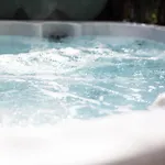 Heron With Hot-tub Carlisle (Cumbria)