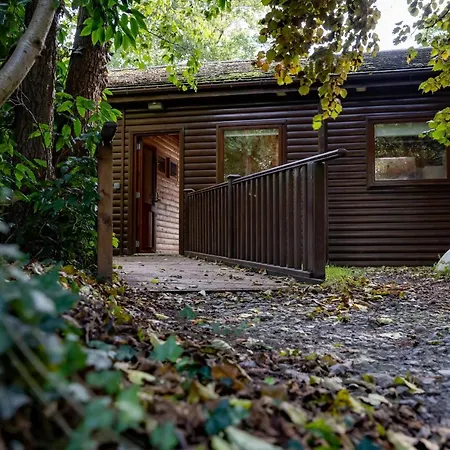 Heron With Hot-tub Carlisle (Cumbria)