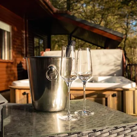 Heron With Hot-tub Carlisle (Cumbria)